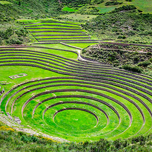Agricultural terraces in the Sacred Valley, Peru